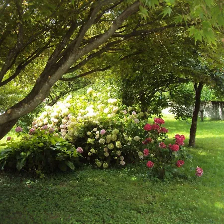 Apartament Japka *